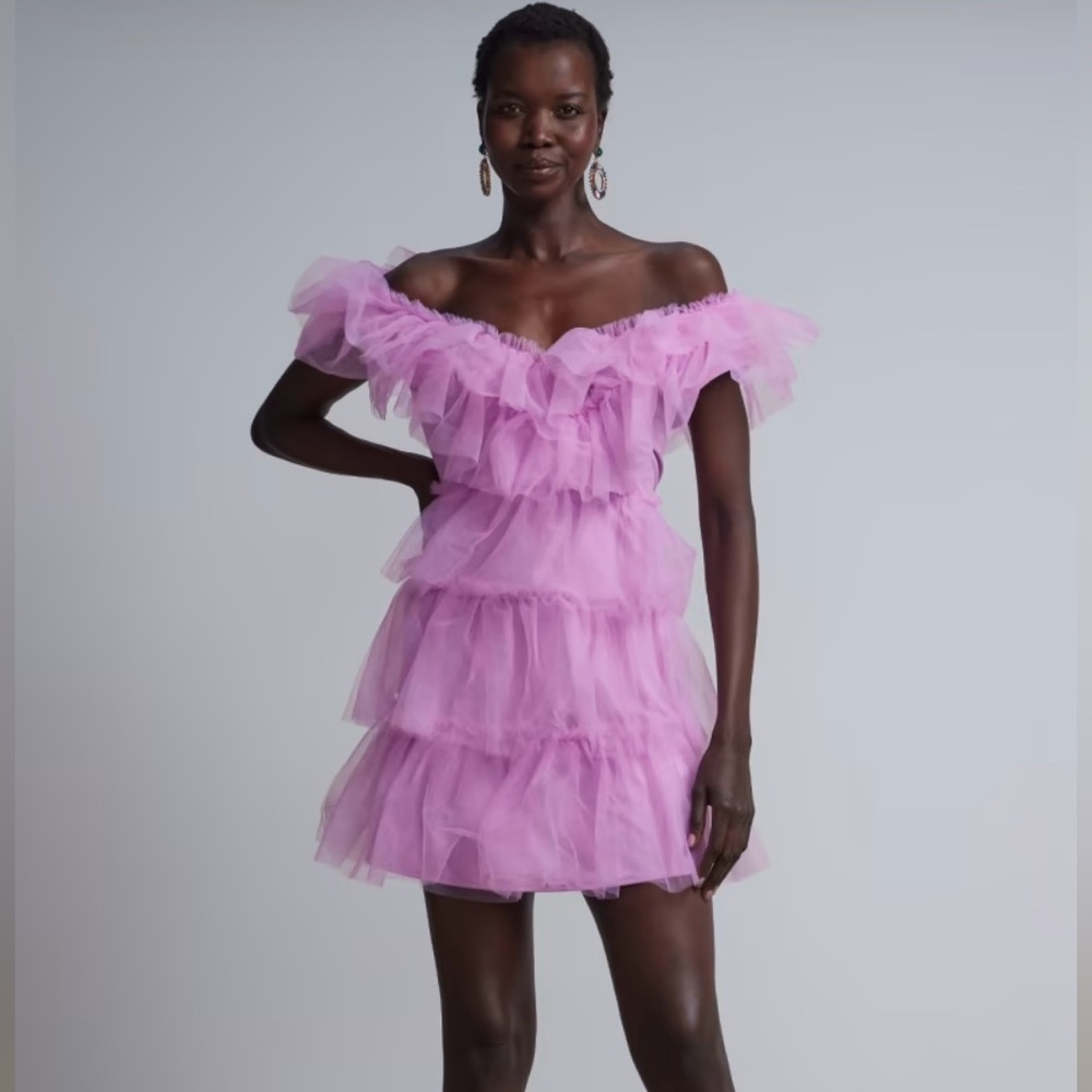 Ruffle Front Tulle Mini Dress - XL
